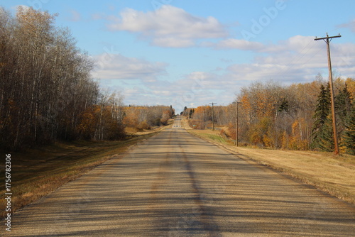 country road in autumn