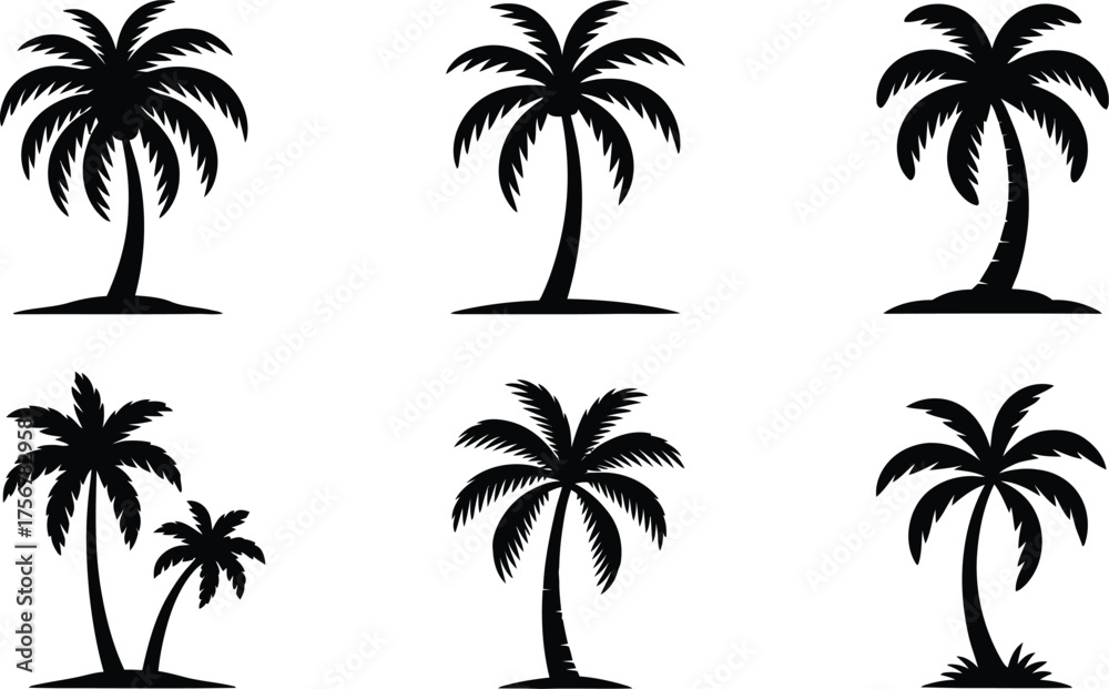 Fototapeta premium Collection of Black Palm Tree Silhouettes on White Background Vector Design