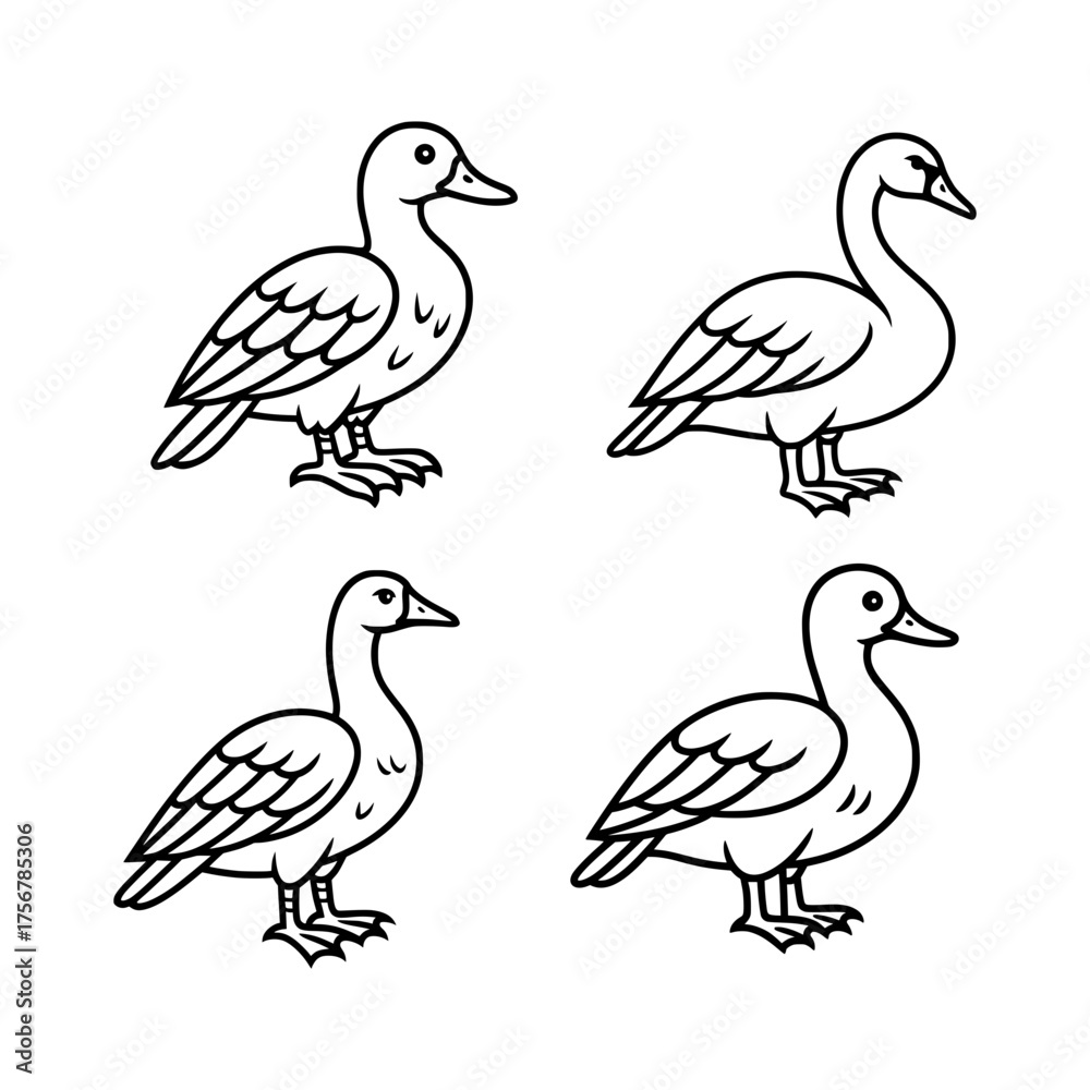 Fototapeta premium Minimalist Duck Line Art Unique Hand-Drawn Bird Illustrations for Icon Design