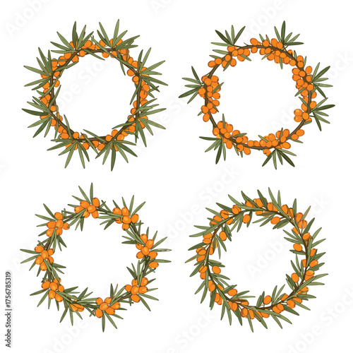 Four decorative circular arrangements of sea buckthorn berries and leaves.