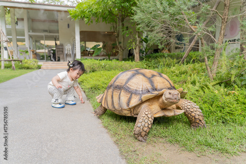 Baby girl play around a giant turtle in garden.
