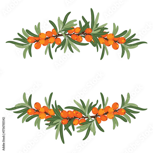 An elegant decorative border featuring clusters of bright orange sea buckthorn berries and green leaves.