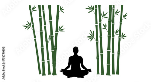 Serene silhouette meditation peaceful zen bamboo forest yoga pose tranquility nature harmony mindful calmness serenity balance growth isolated on white background