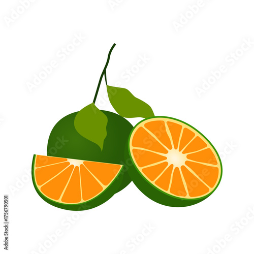 display of orange fruit cartoon element