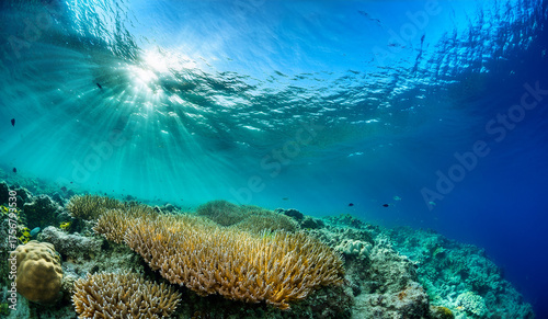 Underwater Reef Scene Sunbeams Illuminating a Coral Ecosystem, Showcasing Marine Life and the Beauty of the Ocean's Depths