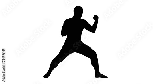 Martial arts silhouette of a traditional warrior in a dynamic stance performing a defensive kung fu move isolated on white background