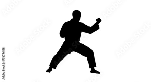 Dynamic silhouette of a martial artist in a fighting stance demonstrating strength and discipline in karate or taekwondo isolated on white background