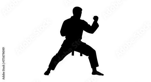 Martial arts silhouette dynamic action pose karate gi fighter performing kata training martial combat discipline and strength isolated on white background