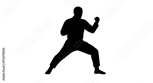 Dynamic silhouette of a martial artist in a fighting stance demonstrating strength and discipline in karate or kung fu combat. isolated on white background