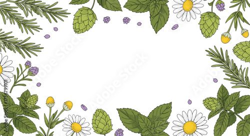 A beautiful border of fresh herbs and flowers with copy space.