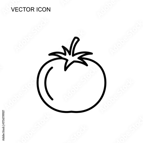 Tomato icon design isolated white background