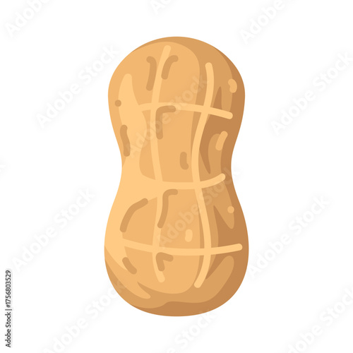 Illustration of Single Peanut  
