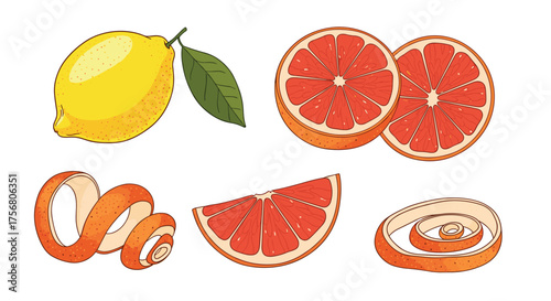 Fresh citrus fruits and their peels on a white background.