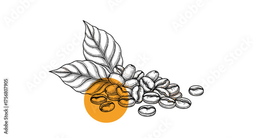 Discover the rich origins and meticulous process of crafting exquisite coffee beans from the plant to your cup.