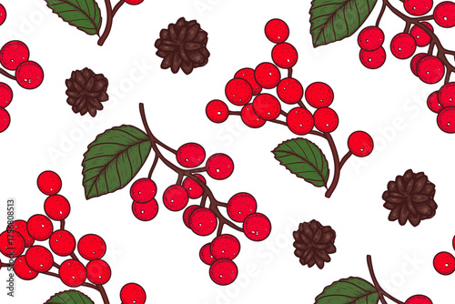 Seamless Christmas pattern with a red berries, spruce cones. Hand drawn vector illustration.
