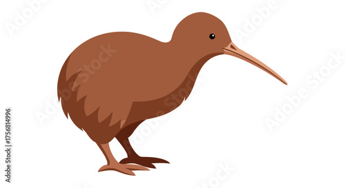 Charming kiwi bird illustration isolated against a crisp white background showing its unique