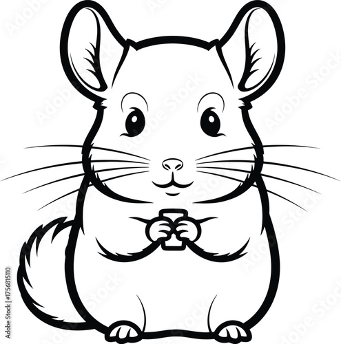 Adorable chinchilla line drawing cute rodent animal sketch for coloring and design