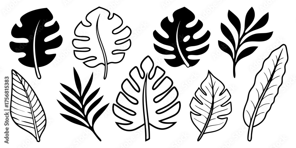 Fototapeta premium Vector illustration of assorted black and white tropical leaves in various shapes and line styles on white background