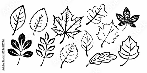 Vector collection of various black and white leaf illustrations in different shapes and styles on white background
