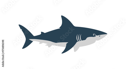 Stylized great white shark illustration isolated on a plain white background design