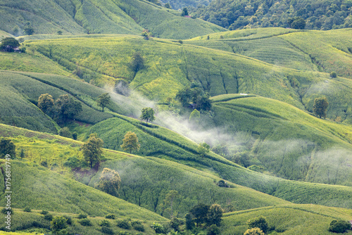 Landscape of Morning Mist with Mountain Layer. mountain ridge and clouds in rural jungle bush forest