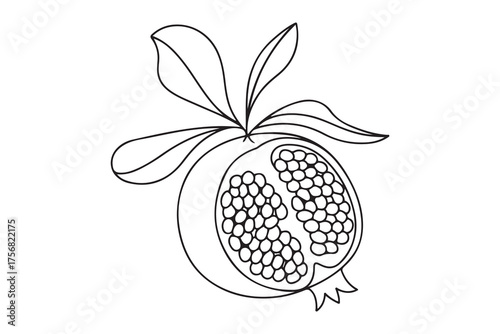 Pomegranate Icon. one line Icon drawing with white background
