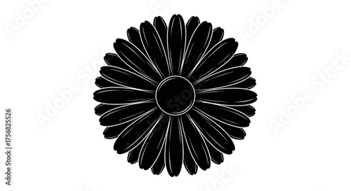 Black and white silhouette of a daisy with a central disk and radiating petals