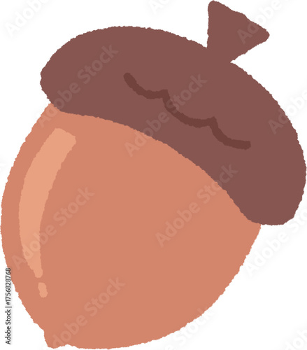 acorn