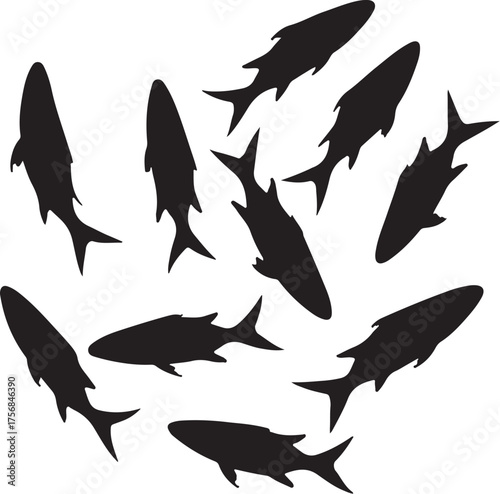 Black fish silhouettes swimming in a circular pattern