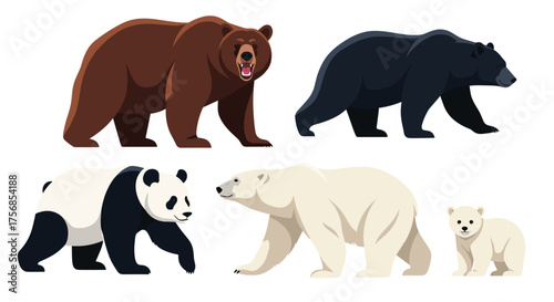 A collection of different bear species in an illustration.