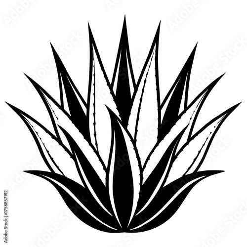 Aloe Vera Vector Illustration | Black and White Botanical Line Art for Organic Cosmetic and Herbal Design.