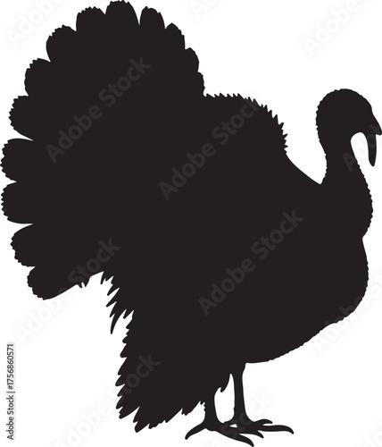 Black silhouette of a turkey with fanned tail bird