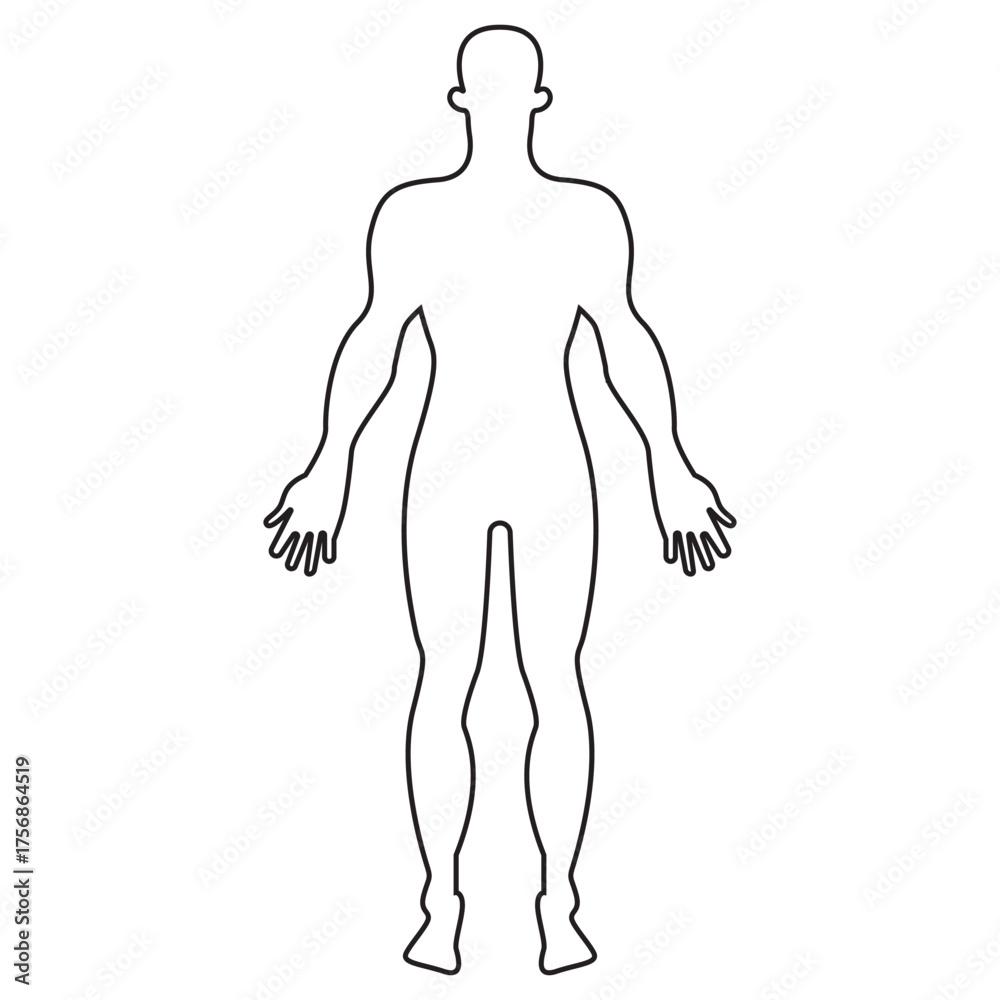 Fototapeta premium Man body silhouette. Human figure icon. Bare and naked slim healthy people vector. eps 10