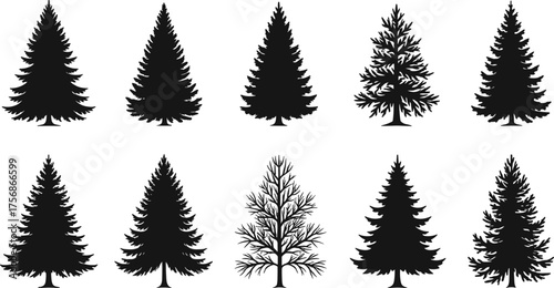 Pine and spruce tree silhouette collection, black forest evergreen vector set, natural winter trees for Christmas and landscape design