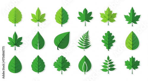 Diverse collection of green leaves, showcasing various shapes and sizes, perfect for naturethemed designs and ecofriendly projects
