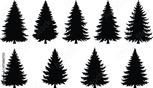 Pine tree silhouette set, collection of evergreen conifer trees for forest, nature, winter, and Christmas vector design illustration