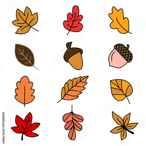Hand-Drawn Autumn Leaves and Acorns Collection