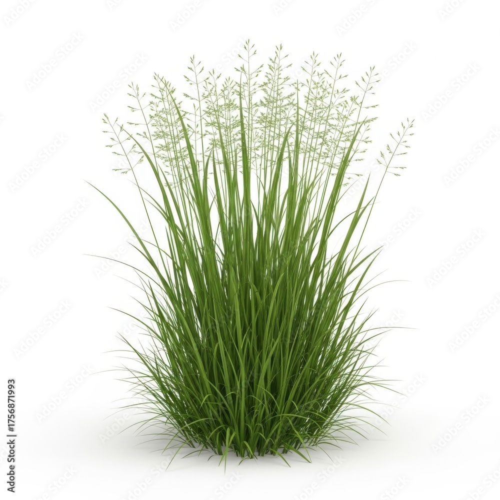 Obraz premium Lush green pothos plant in a textured pot indoors for home decor