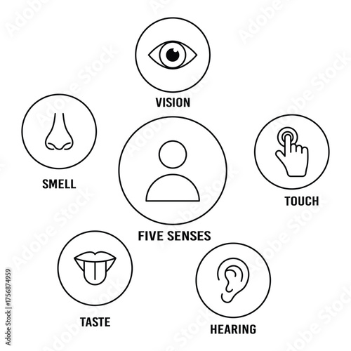 Five human senses editable stroke outline icons set. Flat vector illustration of human senses including ear, eye, nose, lips, and hand in minimalist design style. line icon set of five human senses.