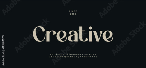Creative Font Uppercase Lowercase and Number. Classic Elegant Lettering Minimal Fashion Designs. Typography modern serif fonts regular decorative vintage font.