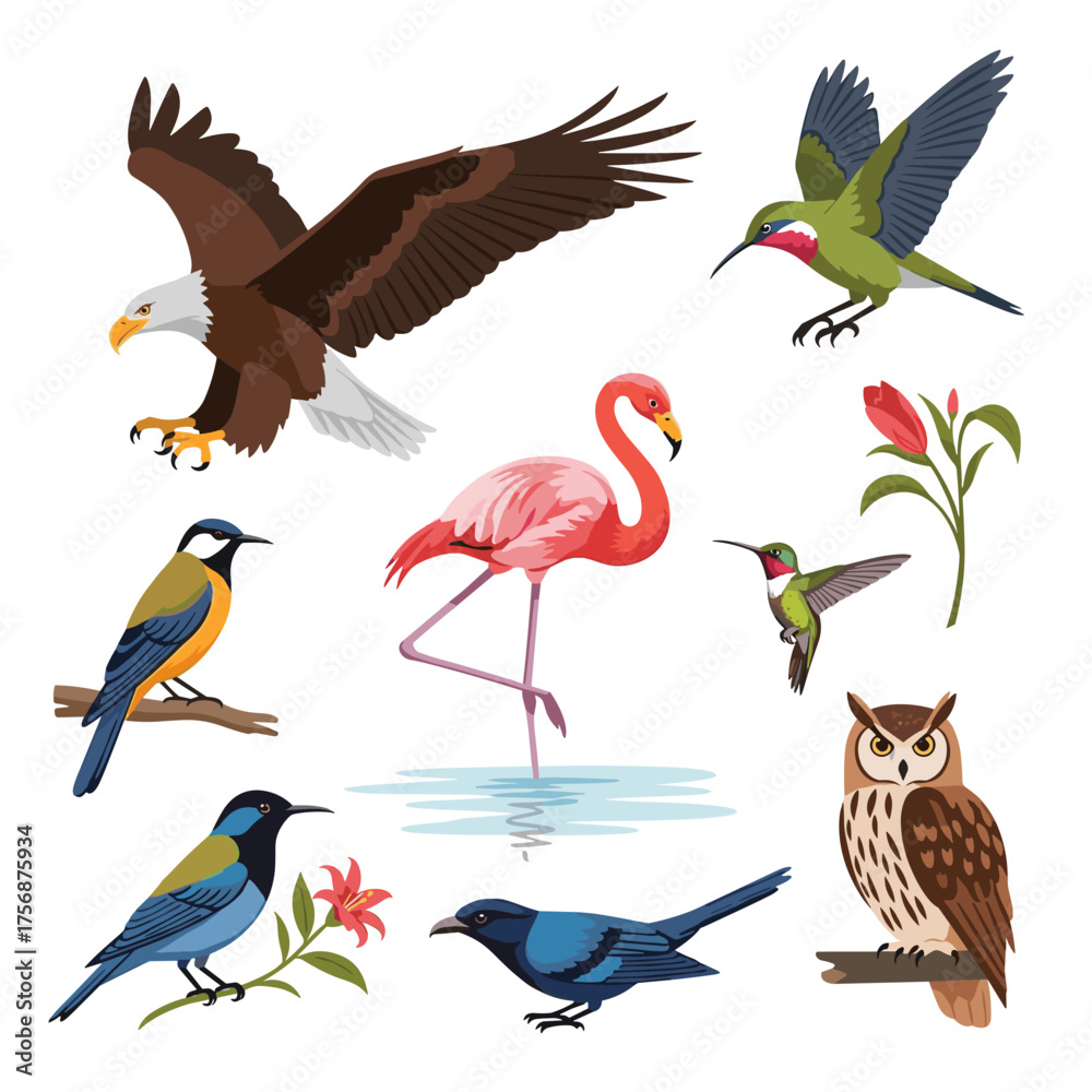 Naklejka premium A vibrant collection of diverse bird species in their natural habitats showcasing their unique colors and forms.