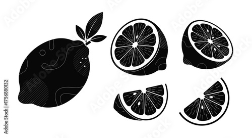 Fresh citrus fruit elements for design projects and culinary inspiration