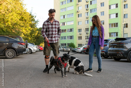 Photography Father and his daughter walk two leashed dogs in a residential courtyard with pa