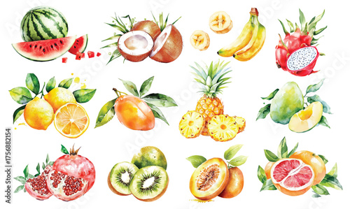 watercolor tropical fruits slice kiwi, watermelon, apple, peach, orange, banana, lemon, mango, avocado, coconut, grape, pineapple, pomegranate with green leaves illustration fruits clip art