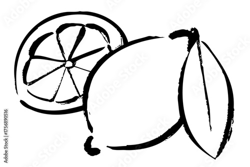 筆タッチで描いた葉つきの丸ごとレモンとスライスレモンの手描きイラスト素材