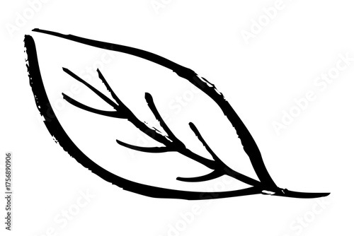 A hand-drawn leaf illustration that makes use of the brushstrokes | Japanese-style, natural plant motif design material