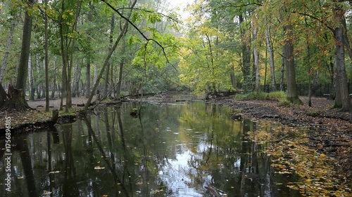 Cinematic 4K shot of a still river surface dotted with yellow/orange leaves. Chaotic raindrops and light wind emphasize the serene, yet melancholic transition from summer to the slow end of the natura