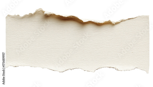 Wallpaper Mural Torn beige paper strip Torontodigital.ca