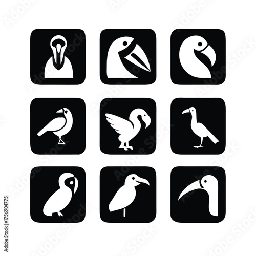 Modern Glyphs White on Black Vector Icon Set of Various Bird Species