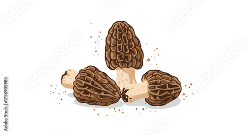 A close up illustration of fresh morel mushrooms on a white background with scattered dirt.